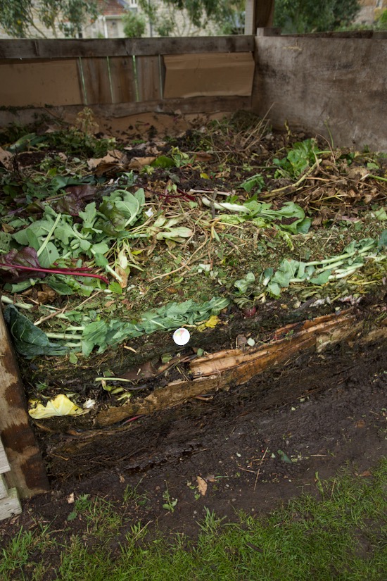 23 day compost heap profile of layers