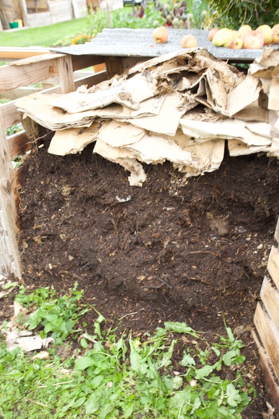 3 month old compost in pallet heaps