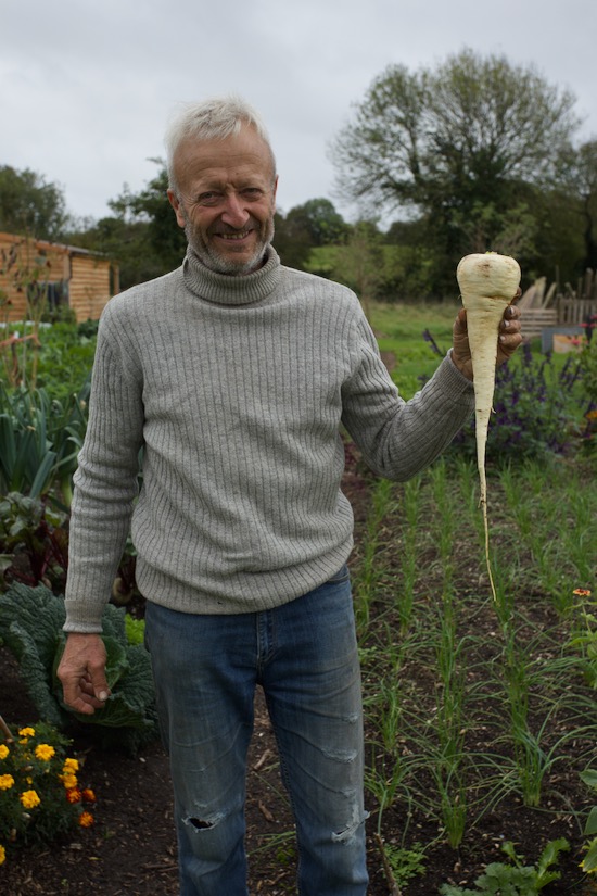 Charles with no dig parsnip Gladiator, photo by Alastair Laing