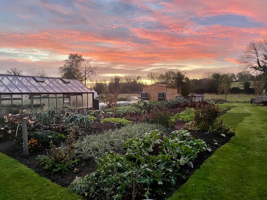 November sunrise over a garden still quite full of vegetables for winter and spring