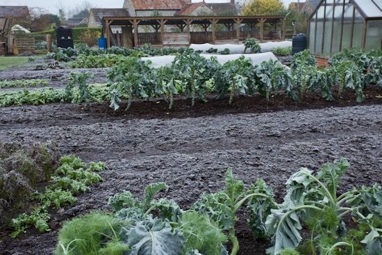 23rd November and a frost of -2C