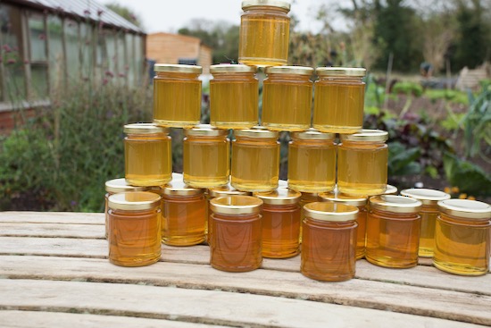 Honey encapsulates so many bee visits to so many flowers