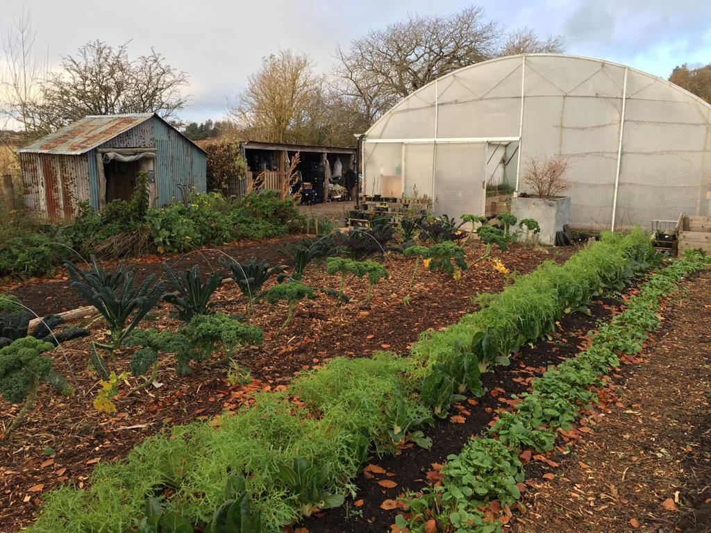The no dig garden at Old Alagrange near Inverness
