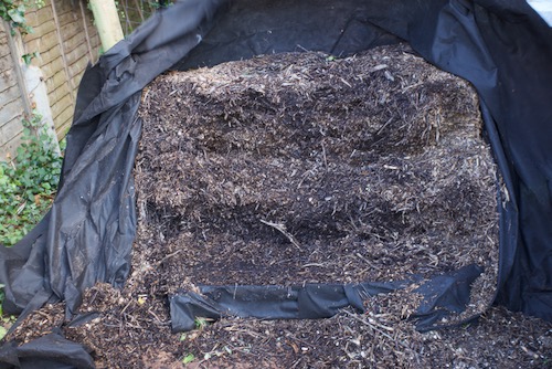 An 18 month old pile of woodchip which was my first attempt at a Johnson Su bioreactor, and it dried out too much