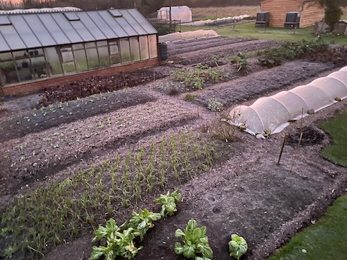 Frosty sunrise at winter solstice, no dig beds and paths all mulched