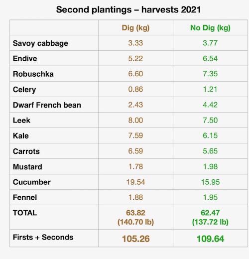 Through the summer we pop in new transplants and carrot seed whenever there is space, with no sense of rotation