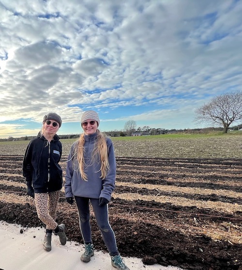 Kate and Mollie at their field, where the soil is poor but has few weeds after maize, so they are using thin cardboard rol and old manure (compost) on top
