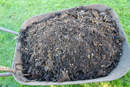 7 month old home-made compost from a heap which we turned once