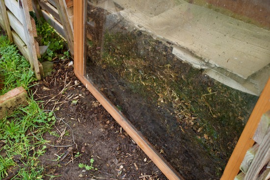 An old window is serving as one side of this compost heap, to see what's in there!