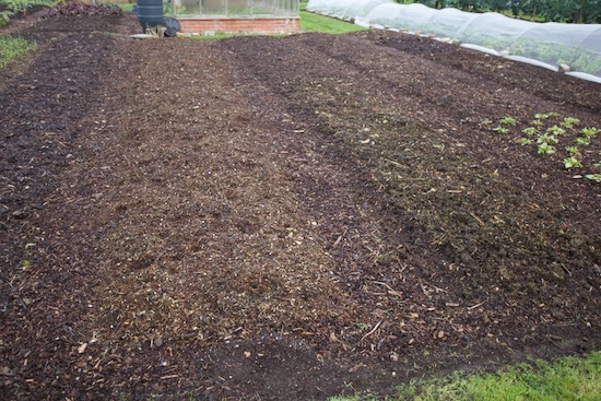 Beds and paths all mulched through winter and ready for spring
