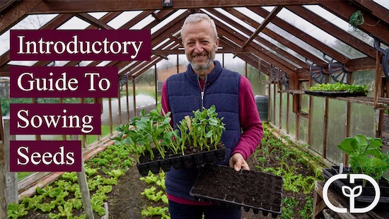 My latest video was very popular with 40,000 views in the first 24 hours