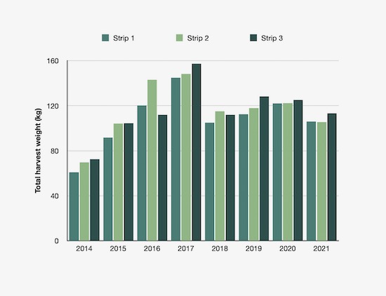Vegetable harvests bar chart of the Three Strip Trial over eight years