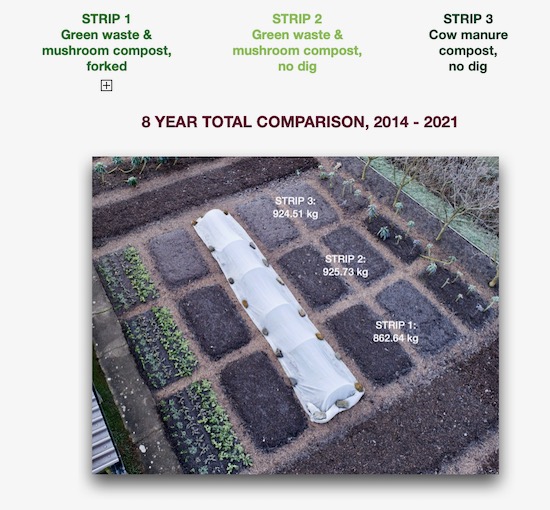 Graphic of the Three Strip Trial over 8 years