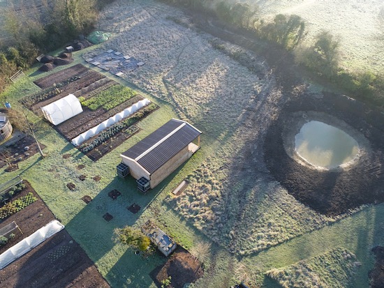 New area new pond in the new year