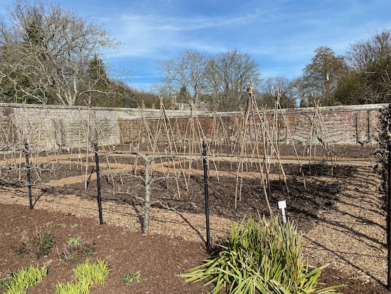 This is West Dean near Chichester walled garden late February, has gone no dig and using their own compost and is woodchip