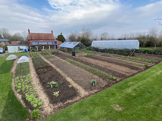 Garden view 8th March, all beds mulched and many empty, now ready for new plantings