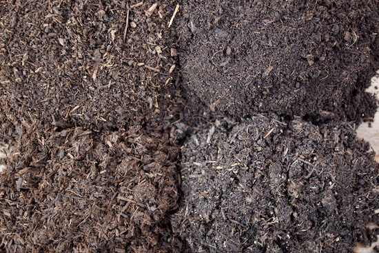 Potting compost from top left is sieved homemade 7 months old, Moorland Gold, New Horizon and bottom left is digestate