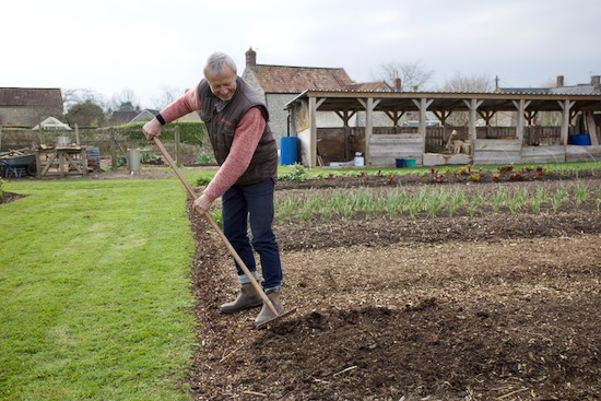 Using a rake to cover over the drills and re-make a level surface