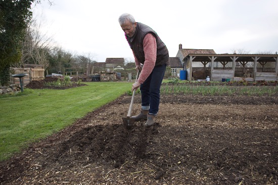 1 draw drills in surface compost