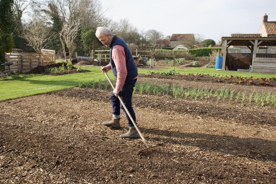 No dig bed prep is simply a light rake before sowing