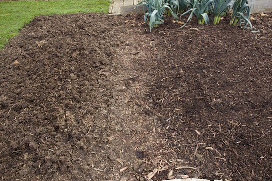 Compare surface of lumpy manure left, compost homemade on the right
