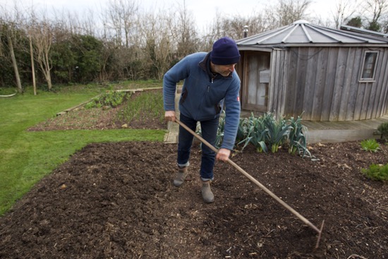 Bed prep and it was an easy light raking of the homemade compost