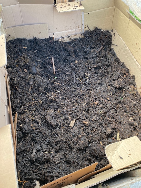 After turning the contents of heap one into the middle, first additions were August and last ones November