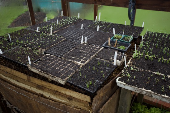 2nd March after the refill with pallet & trays back on top