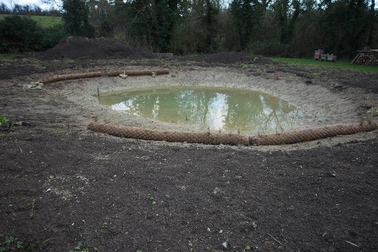 Homeacres pond level 8 days later