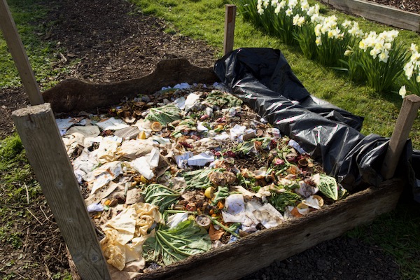 My new worm bed before John's advice, with food on top of paper and vegetable wastes