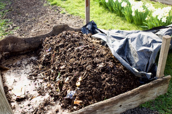 Now I have added half-decomposed materials from a semi mature compost heap, and the bed is narrower, insulated by the surface material which is worm food too