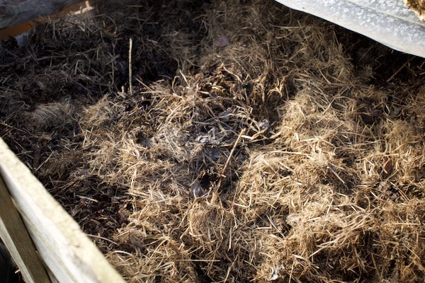 A pallet compost heap we finished in February, and the last grass added was almost like hay so we have just watered it, there are also many worms in this heap already