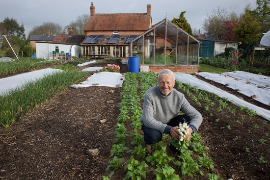 Charles with turnips in the bed after removing fleece