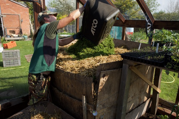 Adam is tipping grass clippings on top of the hotbed, to maintain heat at 40 to 45 C for another 10 days or so