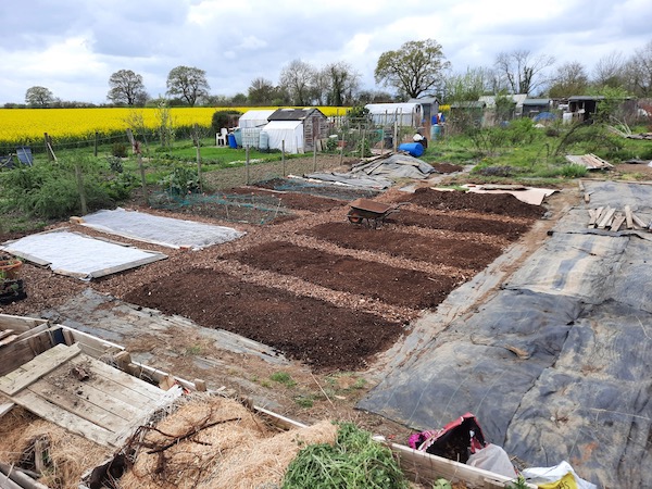 Emma Kane's allotment 18th April