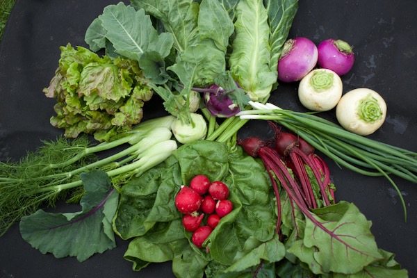 Harvests May 15th all grown outside and from sowings mid February to mid March