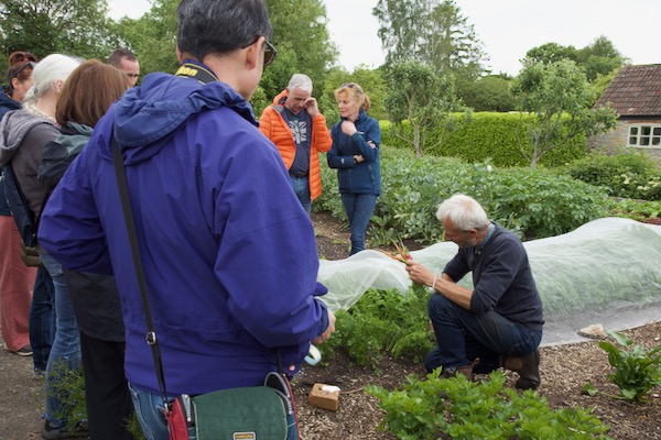 It was fun on the latest take course here to pull a few carrots, three months after sowing them and they had fleece over for the first six weeks.