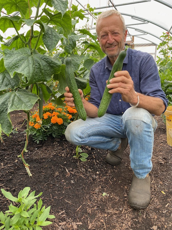 Charles with first cucumbers in the polytunnel, about to crop very fast as it finally warms up