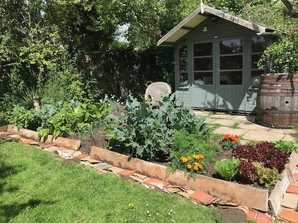 Anna's 3 month old beds on grass
