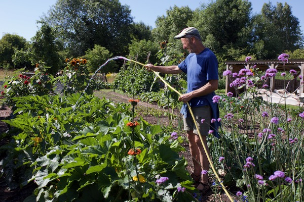 You can water in sunlight!