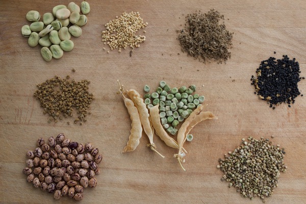 Vegetable seeds from my collection: borlotti - beetroot - broad bean - lambs lettuce - carrot - onion - spinach - peas