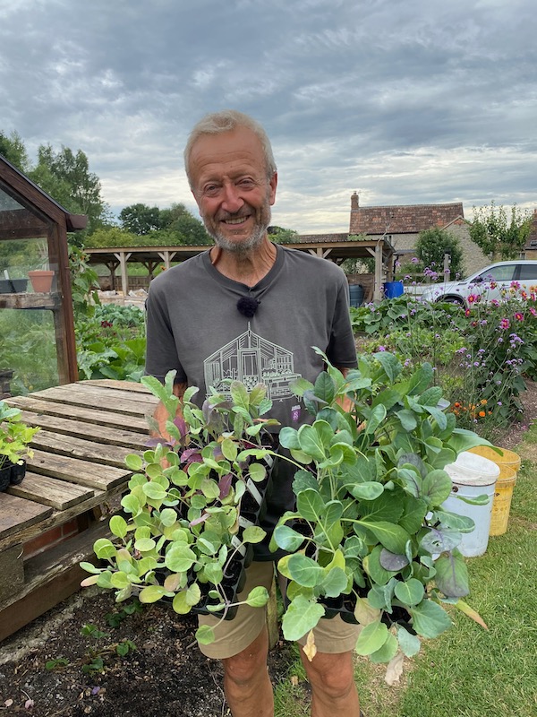 With Moorland Gold peat free compost on left and New Horizon right!