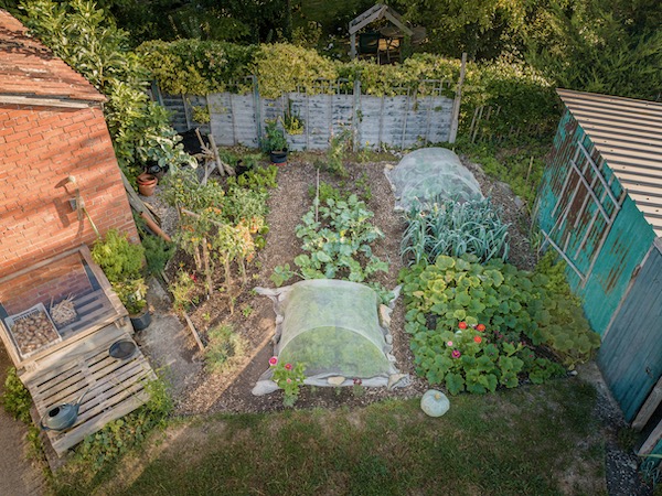 The small garden 29th August and we shall be posting a video about it very soon.