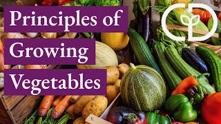 There are so many colourful harvests in August and this is for a video we made