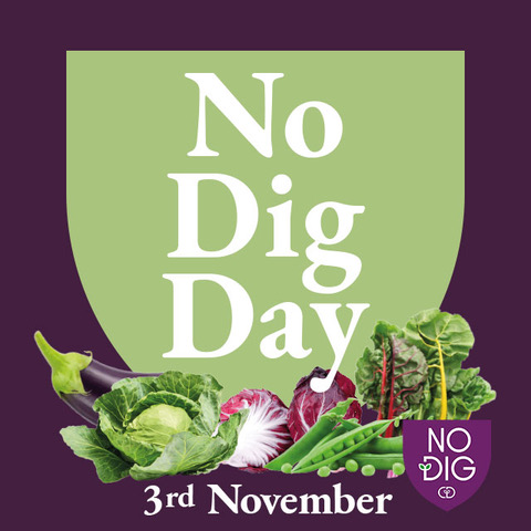 No Dig Day logo