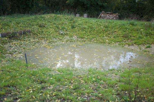 After 60mm rain the pond finally has some water and is holding the level now, which may actually be the water table!