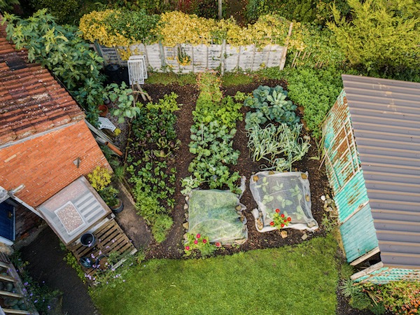 25 sqm small garden 24th October when we made a video, releasing soon