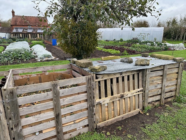 Three pallet compost heaps and the two on right are finished therefore covered against rain