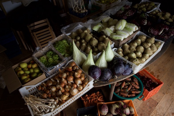 December vegetable store includes Granat red and Filderkraut pointed white cabbage. Oxhella carrots, Mars celeriac