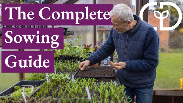 This video takes you right through the year. My idea is to give the framework of possible sowings month by month and then you can add your favourite details to it.